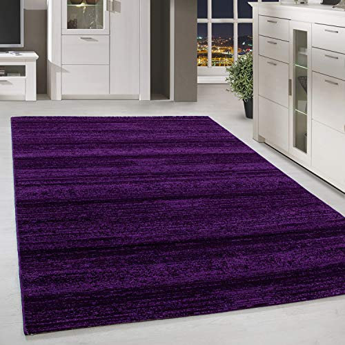HomebyHome Teppich Wohnzimmer 120x170 cm Lila Moderne Einfarbig Meliert Design - Esszimmer und Schlafzimmer Teppich Kurzflor Teppiche Rechteckig Extra Weich Pflegeleicht - Carpet Living Room