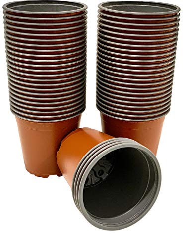 spiceboxx 50x Pflanztöpfe Blumentöpfe Pflanzcontainer Anzuchttöpfe Saattöpfe D12cm rot 0,75 Liter