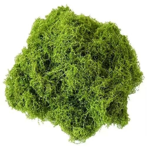 NJCXOLA 50g kunstmoos zum dekorieren, kunstmoos zum basteln künstliches moos deko Kunst moos Fake dekomoos bastelmoos für Wand krippe Aquarium krippe Modellbau Dunkelgrün
