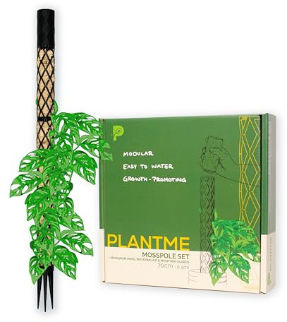 PlantMe Bâton de mousse Midi - Tuteur pour plantes grimpantes, lierre, bâton de mousse, support de plantes, poteau de Moss Pole, aide à l'escalade, plantes d'intérieur, philodendron (noir, 70 cm)