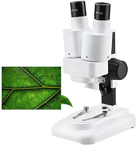 DHsdlpLU Microscopio Binoculare, Ingrandimento 20X/40X, Illuminazione A LED, Ampio Campo Visivo per Strumento di Saldatura PCB/Riparazione Cellulare/Regalo,White-20X