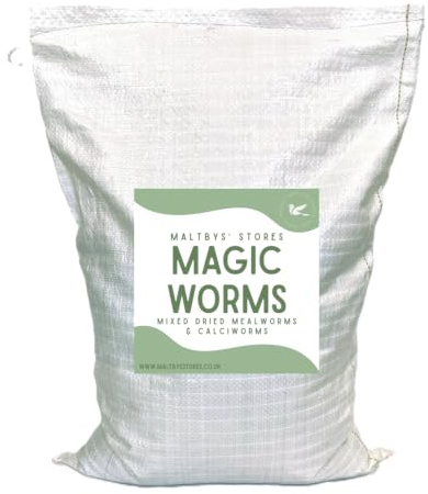 Maltbys' Stores 2kg Magic Worms | Mixed Dried Mealworms & Calciworms Premium Wild Bird Food
