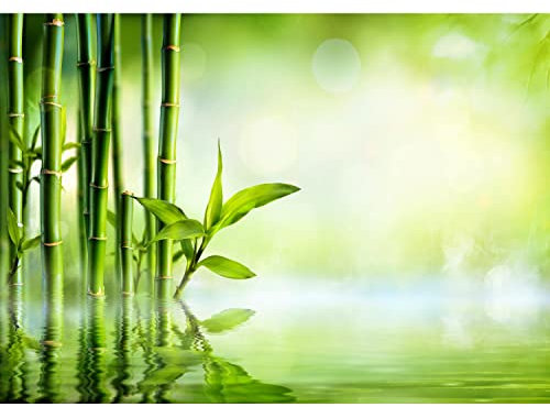 Runa Art Papier peint intissé bambou 352 x 250 cm Toison Mur XXL Tableaux Muraux Tapisserie Photo Décoration Murale Salon Chambre vert 9473011a