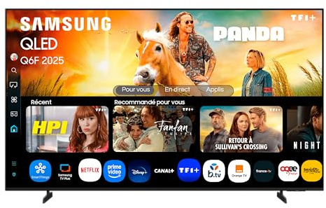 Samsung TV AI 65 Pouces QLED 65Q6F 4K Smart TV, Quantum Dots, Q4 Lite Processor, WiFi, Airplay, HDR, Q-Symphony, OTS Lite, Knox Security, Gaming Hub, Bixby, Application opérateurs intégrées