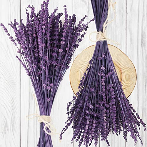 Celblisora 112 g di fiori di lavanda secchi, rami di lavanda conservati, bouquet di fiori viola, decorazione floreale per tavoli di nozze, decorazione per la casa, fai da te, piante secche