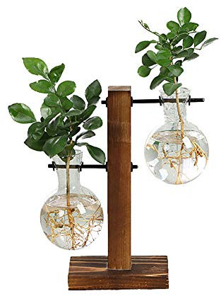 Florero colgante hidropónico de cristal, jarrón hidropónico, soporte de madera con hidroponía, jarrón colgante de mesa para plantas hidropónicas, hogar, oficina, jardín, decoración de bodas