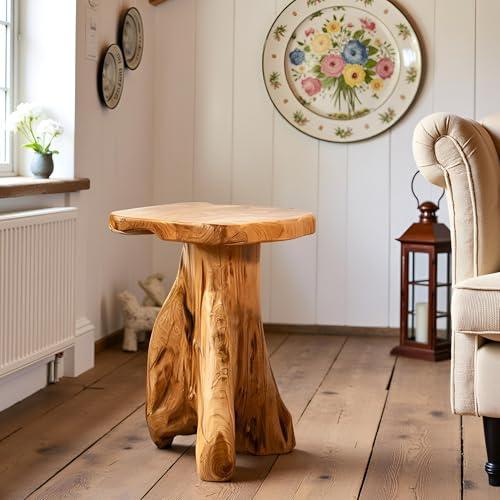 Warmaxx Cedar Roots Tree Stump Side Table 14x13x18H Live Edge Rustic Natural Solid Wood Plant Stand Farmhouse Accent Coffee End Table Living Room Couch Bedroom Garden Outdoor Home Decor
