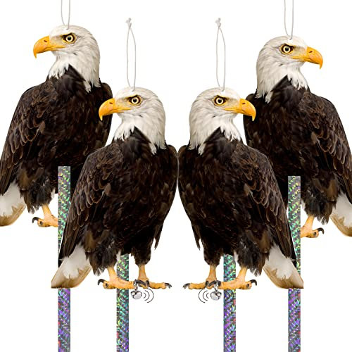 Taubenabwehr, Vogelabwehr, Taubenabwehr für Balkon, Vogelschreck Vogelabwehr, Taubenschreck, Vogelscheuche Eule Pappe, Raben Attrappe für Garten Fenster Möwe Spatzen Vögel Vertreiben 4 Stück