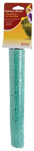 Penn-Plax Bird-Life Calcium Trimmer-Perch, Naturally Trims Nails & Beak - Easy-Mounting Bird Perch Stand for Cages - Great for Parrots, Cockatoos, Macaws, & Other Large Birds - Green, 10 Inch