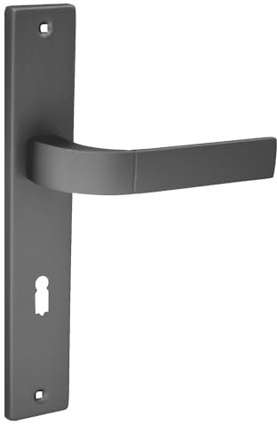 domino Türgriff 72 Drückergarnitur BB-Buntbart Set Langschildgarnitur Türklinke für Zimmertür, Bürotür, Kellertür & Innentür L-Form Aluminiuml Titan Türdrückergarnitur FOKUS M8