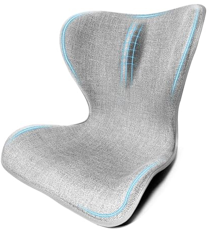 TUMAAOTU Ergonomic Chair Back Support Cushion – Floor Chair with Lumbar Support, Posture Corrector Back Support Cushion for sofa, Ideal for Men, Women, Home & Office Use (Grey)