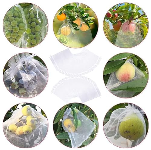 100 bolsas protectoras para frutas con cordón, red de protección de plantas de jardín, para frutas, verduras, fresas, ciruelas, antiinsectos y pájaros, bolsas blancas (10 x 15 cm)