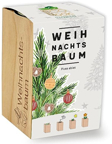 Feel Green ecoblock Weihnachtsbaum, Nachhaltige Geschenkidee (100% Eco Friendly), Grow Your Own/Anzuchtset, Pflanzen im Holzblock, Made in Austria, Holz
