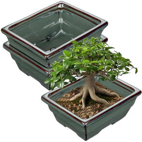 Oairse Lot de 2 pots de fleurs en céramique pour bonsaï vivants, 16 cm, pour intérieur et extérieur avec trou de drainage, bleu