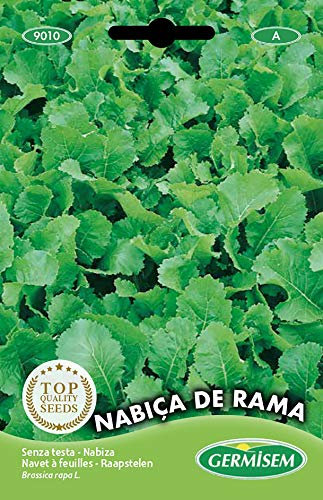 Germisem graines Feuilles de navet SENZA TESTA