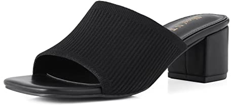 Shoe'N Tale Heeled Sandals For Women Square Open Toe Heeled Mules Chunky Block Low Heel Slip On Slides(8,Black)