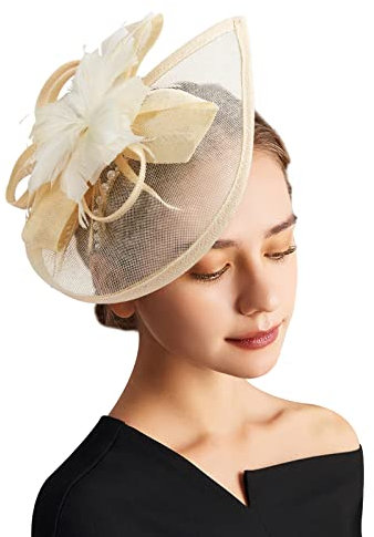 DRESHOW Fascinator Hüte für Damen Pillbox Hut mit Schleier Stirnband und Einer Gegabelten Clip Tea Party Kopfbedeckung