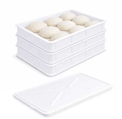 VIRSUS Cassetta con Coperchio per impasti Pizza e Pane HD1, misura 60x40x10 cm e capacità 20 Litri, colore neutro, Contenitore per alimenti, porta impasto per panetti (3 Cassette + 1 Coperchio)