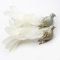 2 x champagne Christmas tree decoration birds