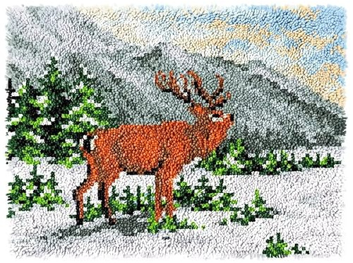 ROCKY&CHAO Myriad Choices Latch Hook Rug Kits, DIY Rug, Home Carpet Making Canvas Crochet Kits Embroidery Needlework Crafts for Decor, Beginners Kids Adults, 60 X 40 cm