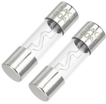Partuto 2 stycken 50A Universal AGU glassäkring – bilsäkringsrör för att skydda strömförsörjningen – metall, silverfärgad