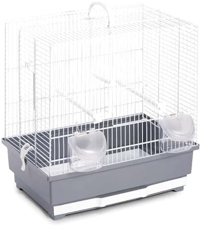 Alfa 60 Gabbia Voliera Gabbia per Uccelli in Metallo per canarini,pappagallini Calopsite Inseparabili,Uccelli e Piccoli volatili,con posatoi,mangiatoie,beverino 59x36x58 cm-Colori assortiti