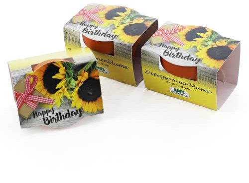 Bull & Bear 3er Set Mini Pflanzset 'Happy Birthday', Blumensamen im Topf 4,5cm, Mini Sonnenblume als Anzuchtset mit Pflegeanleitung