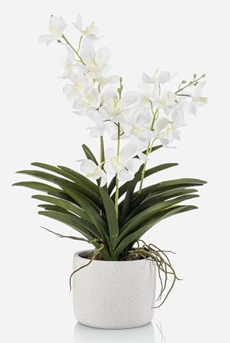 artplants.de Dekorativ Vanda-orkidé PAVRA i keramikkruka, vit-kräm, 60 cm