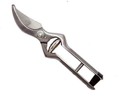 Falci 247500-18 Forbice da Vigna e Potatura Forgiata con Chiusura in Cuoio, 18 cm, Grigio