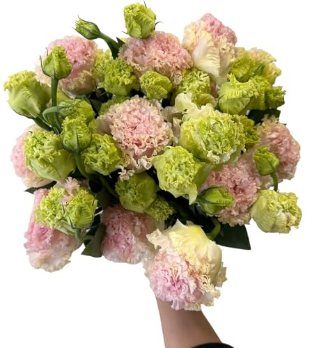 10-Stem Grade A Wavy Lisianthus Fresh Cut Flower Bouquet for Home Decor Birthdays Anniversaries Healing Sympathy Friendship and Love