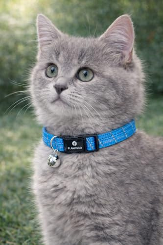 collare gatto - gattino Elza blu 15–22 cm – nylon elastico riflettente con campanellino