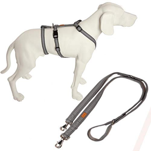 No Exit ausbruchsicheres Hundegeschirr für Angsthund, Sicherheitsgeschirr für Pflegehunde , Panikgeschirr, Super Soft, silber, Bauchumfang 55-75 cm, 20 mm Bandbreite, inkl. passender Führleine