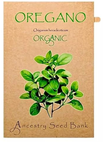 Organic Oregano ❁ x200 Seeds Heirloom Herbs - Non GMO