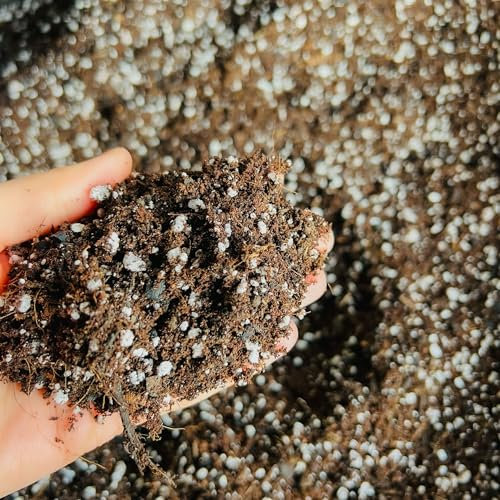 Premium Succulent & Cacti Potting Mix with Activated Biochar – Free-Draining Soil for Indoor & Outdoor Cactus & Succulent Plants (3L)