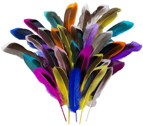 50 Pcs Mixed Color Craft Feathers for DIY Dream Catchers, Hat Mask Decorations, Carnival Costumes, and Party Supplies