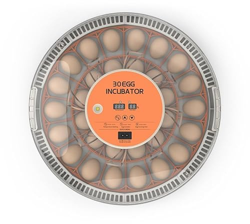 Incubadora Huevos Gallina, Incubadora Automática de Huevos con Volteo Automático y Humidificación Automática, Incubadora para Pollos Gallinas de 30 Huevos, para Huevos de Gallina, Codorniz, Pato