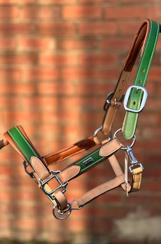 Equipride Argentinian Leather Headcollar for Horse, Cob, Green