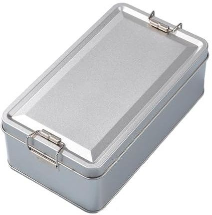 Generic - Scatola per Biscotti in Latta, Metallica, Rettangolare, Coperchio a Sbalzo, Argento, Grande