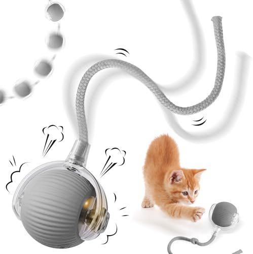 NHYDZSZ Interaktives Katzenspielzeug Katzenball, Katzenspielzeug Elektrisch mit USB Aufladbar, Katzenspielzeug Selbstbeschäftigung, DREI Arbeitsmodi, 360° Rolling Smart Ball für Katzen (Grau)