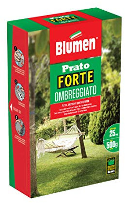 Blumen Prato Forte OMBREGGIATO 500 gr, Verde