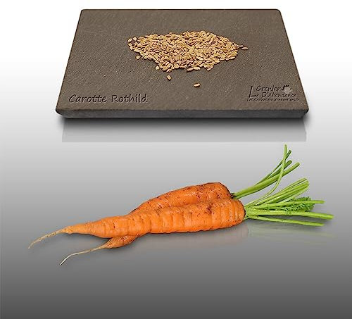 500 graines à semer - Le Grenier d'Abondance - CAROTTE Potagère Rothild Améliorée - Daucus Carota