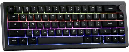 EPOMAKER EK68 - Tastiera meccanica Gasket NKRO al 65%, con batteria da 3000 mAh, illuminazione RGB per ufficio, casa, Win/Mac (Black Silver, Wisteria Linear Switch)