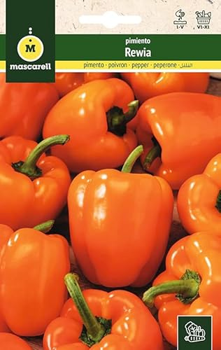 Mascarell Semillas, PIMIENTO, Semillas Huerto, PIMIENTO REWIA, Crea tu Propio Huerto Urbano y Cultivo en Casa, Plantas Hortícolas, 0,5 Gramos
