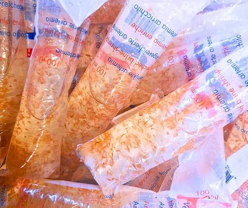Live Fresh Red Brine Shrimp Pack of 3,100ml Live Fish Food, Freshwate Fish Feed (Dispatched on Fridays, Next Day)