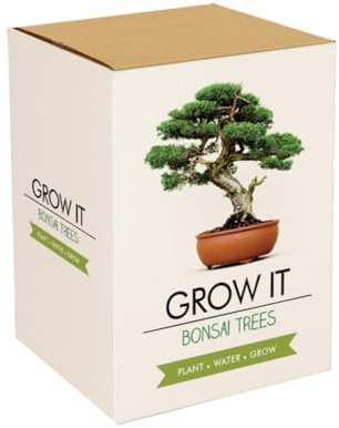 Gift Republic GR200006 : Grow It. Grow Your Own Bonsai Trees, 12.0 cm*12.0 cm*12.0 cm