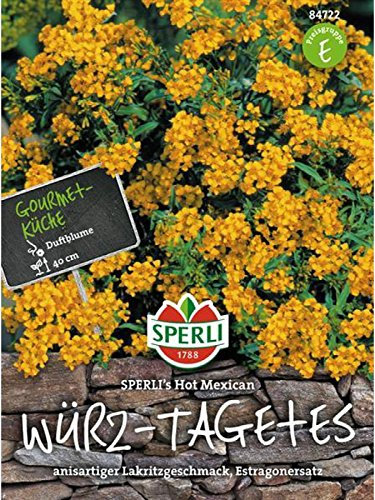 Sperli Blumensamen Würz-Tagetes Hot Mexican, grün