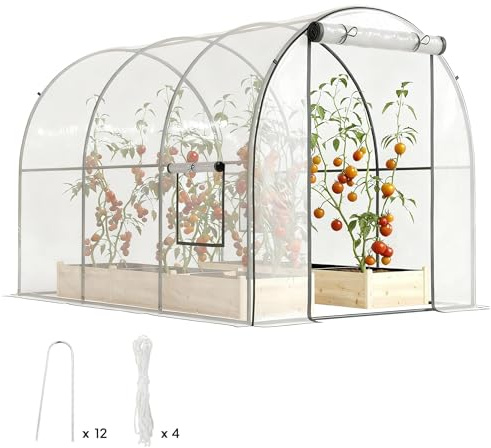Outsunny Serre de Jardin Tunnel 6 m² Serre Tunnel de Jardin 300x200x200cm Porte zippée Tubulaire renforcé 2 fenêtres enroulables Châssis - Transparent