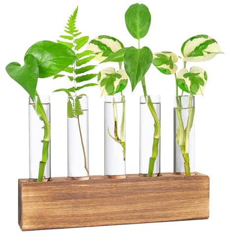 Hwtcjx Station De Propagation, Vase en Verre pour Fleurs Terrarium, Hydroponie, Pot Planteur avec Support De Support en Bois pour Plantes Deau Verte Adapté pour La Maison Cuisine Tabl (5 Vases)