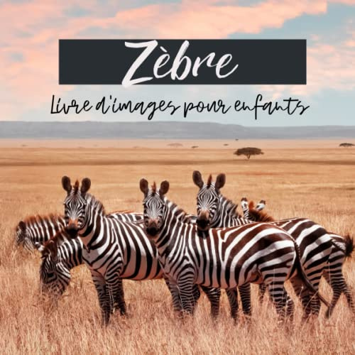 Livre d'images pour enfants - Zèbre: Découvrir les Zèbres en image - Enfants de 2 à 5 ans