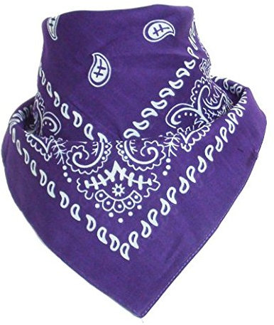 Boolavard Nationale Baumwolle Paisley Bandana Doppelseitige Leiter Verpackungs-Schal-Armband (Lila)